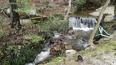 Photos of Gifu Sogi Koen
