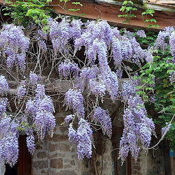 Photo n°12 de Lazy Days à Rancon (Chambre d'hôtes)