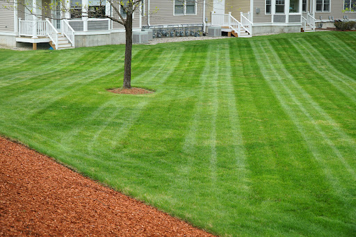 Davis Mowing and Gutter Cleaning