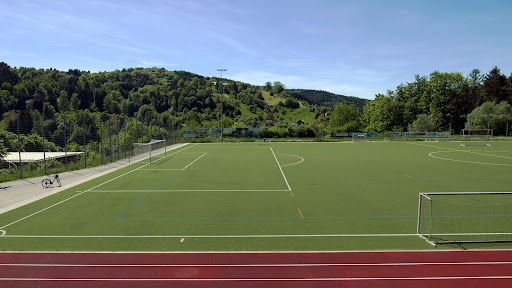 Sportverein Spiegelberg e.V.