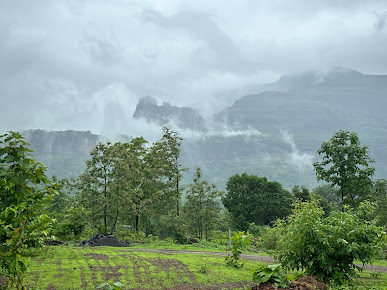 Af1qipnzax2gdf0xq39wo7 Jzeuwl8zgoj Tsfwunxpn=s387 K No