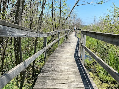 Woodland Dunes Nature Center & Preserve