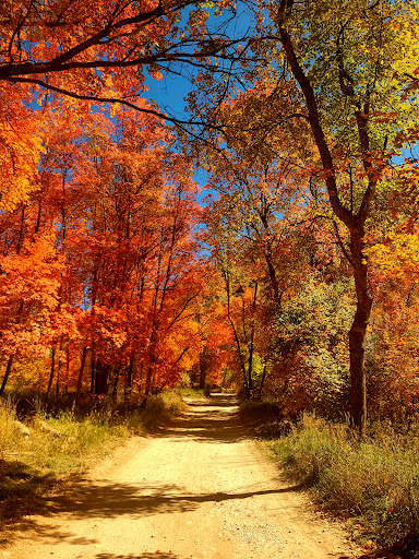 Smithfield Campground - Visual