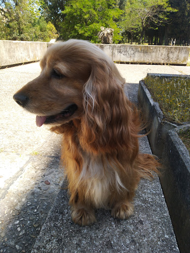 Clinica Veterinaria Eur Torrino - Associazione Veterinaria Europa