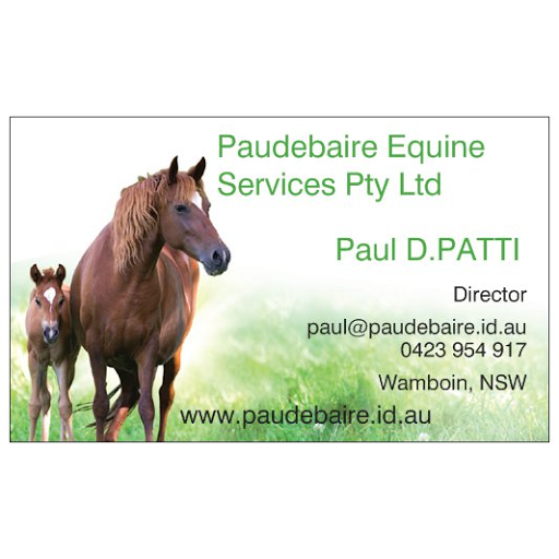 Paudebaire Equine Services Pty Ltd - Thumbnail