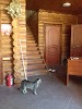Фотография Банный Клуб, Дачная улица, Астрахань, Россия