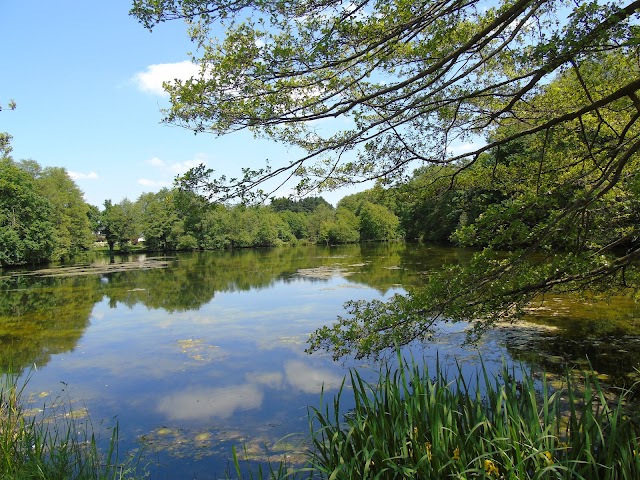 Etang De Dezerseul