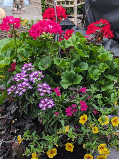 Spring Meadow Estates - Visual