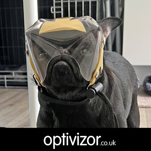 Optivizor.co.uk - Visual