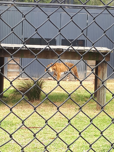Symbio Wildlife Park, Lawrence Hargrave Dr - Thumbnail