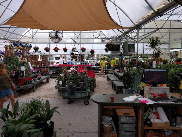 Buchanan's Native Plants