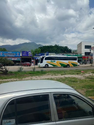 Terminal Autobuses Sur