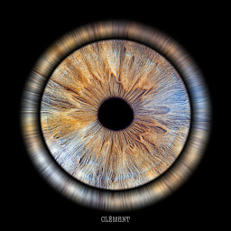 Photo n°32 de Studio Titouan Rimbault Photographe à Auxerre (Prestataire de mariage)