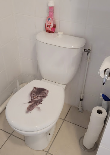 Photo de Studio cocooning et sa piscine à Pleumartin (86450)