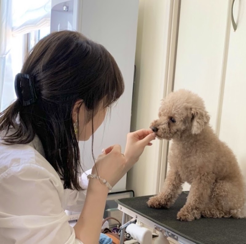 ご自宅出張グルーミング「ippo」