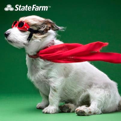 State Farm: James B Lavelle Gallery - United States