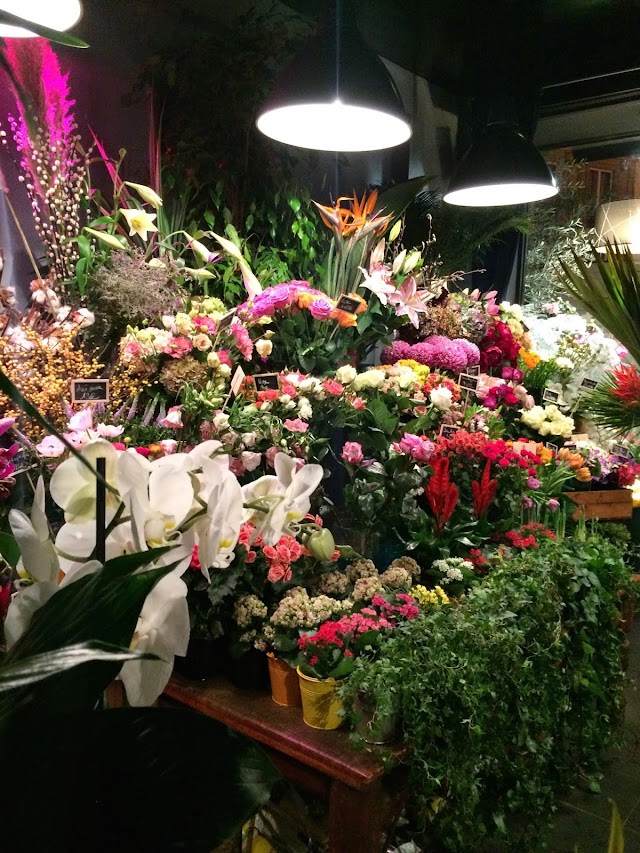 ADONIS FLEURS