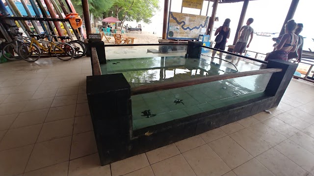 Gili Trawangan Turtle Hatchery