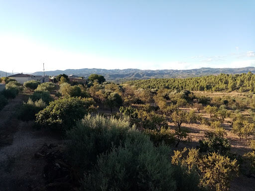 ELS MÉS SONATTS - Visual