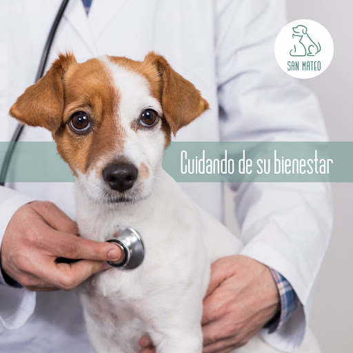 Centro Veterinario San Mateo - Veterinarios en Oviedo