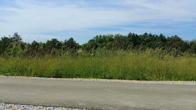 Opinii despre Park Bioróżnorodności w Gogolinie în Gogolin - Muzeum