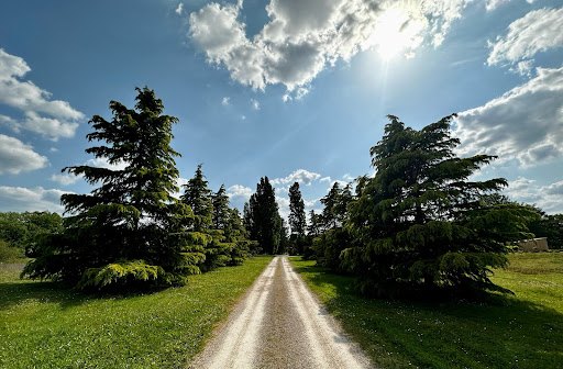 Photo de Domaine de Couilleuse à Saint-Laurent-Nouan (41220)
