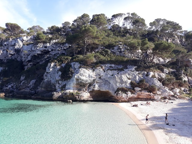 Cala macarelleta