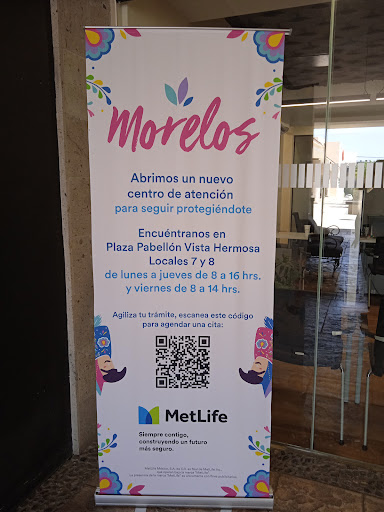 Micro Centro de Servicio MetLife Morelos - Thumbnail