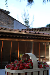 Photo n°29 de Auberge du Boisset à Saint-Martin-de-Castillon (Chambre d'hôtes)