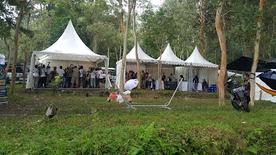 Photos of Camping Ground LuwihBali Adventure