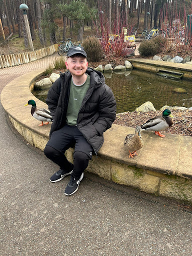 Duck Window Cleaning - Thumbnail