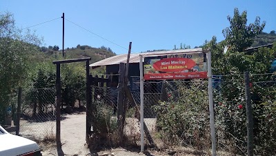 grocery-or-supermarket