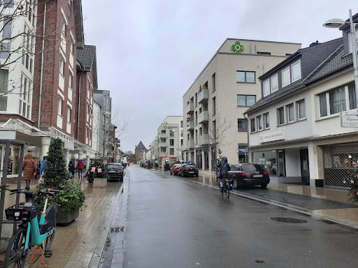 Ryf of Switzerland - Monheim - Thumbnail