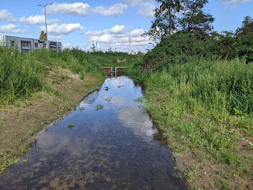 De watertuinen - Thumbnail