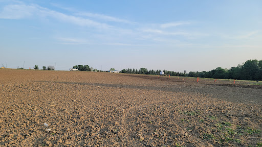 Markham Meadow