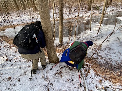 Babcock Preserve