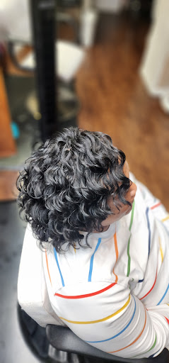 Wylde RootsSalon - Visual