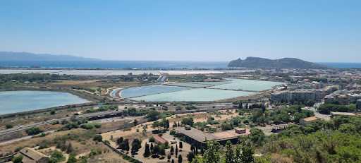 Stagno di Molentargius