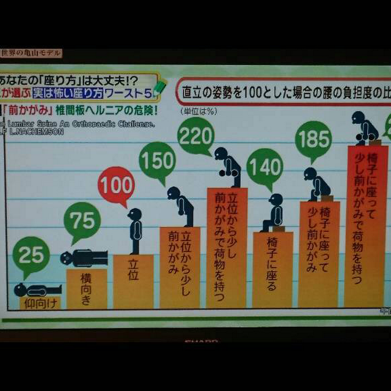 メディカル サポート カイロプラクティック 上田市のカイロ エステティック