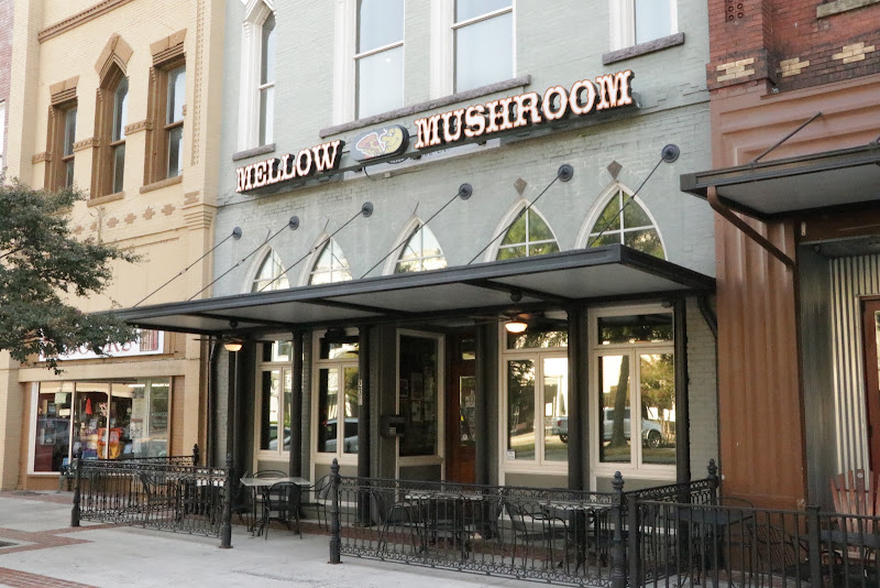 Mellow Mushroom — photo