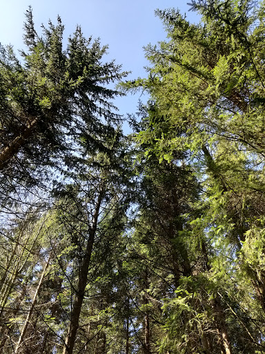 Belvédère de la Roche de Ruan - Thumbnail