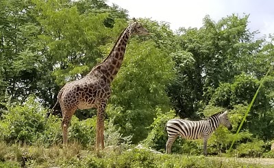 Pittsburgh Zoo & PPG Aquarium