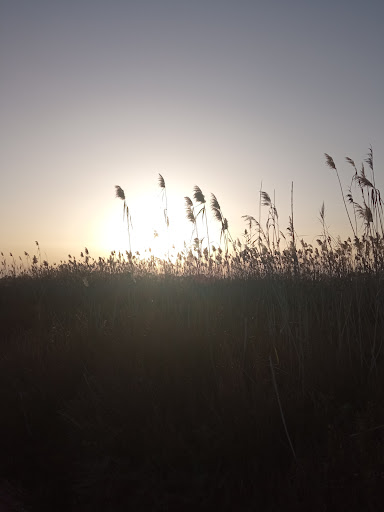 Paseo Sofía - Visual