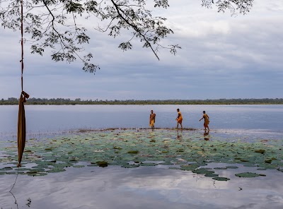 Photos of Blue Indigo Yoga Retreat Siem Reap