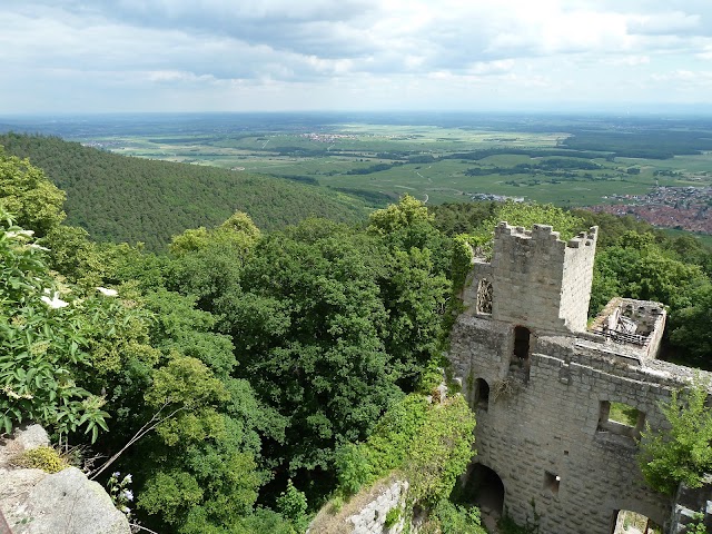 Château du Bernstein