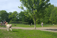 Starr Farm Dog Park, Burlington, United States