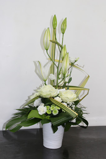 Katelflora - Visual