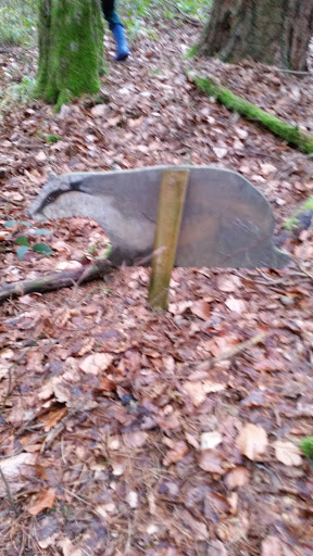 Naturlehrpfad am Kreuzbergsee - Thumbnail