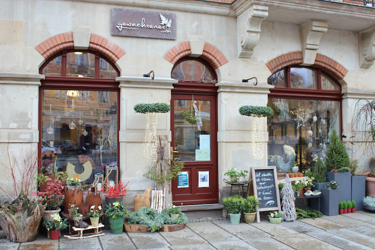 gewachsenes - Florist am Körnerplatz
