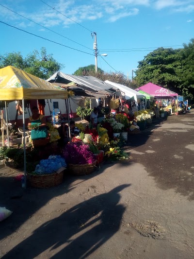 Photos of Cementerio municipal